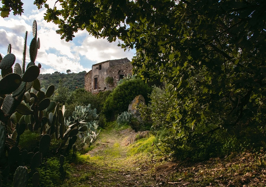 Sentiero Borgo S. Michele